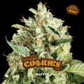 DOUBLE COOKIES Auto