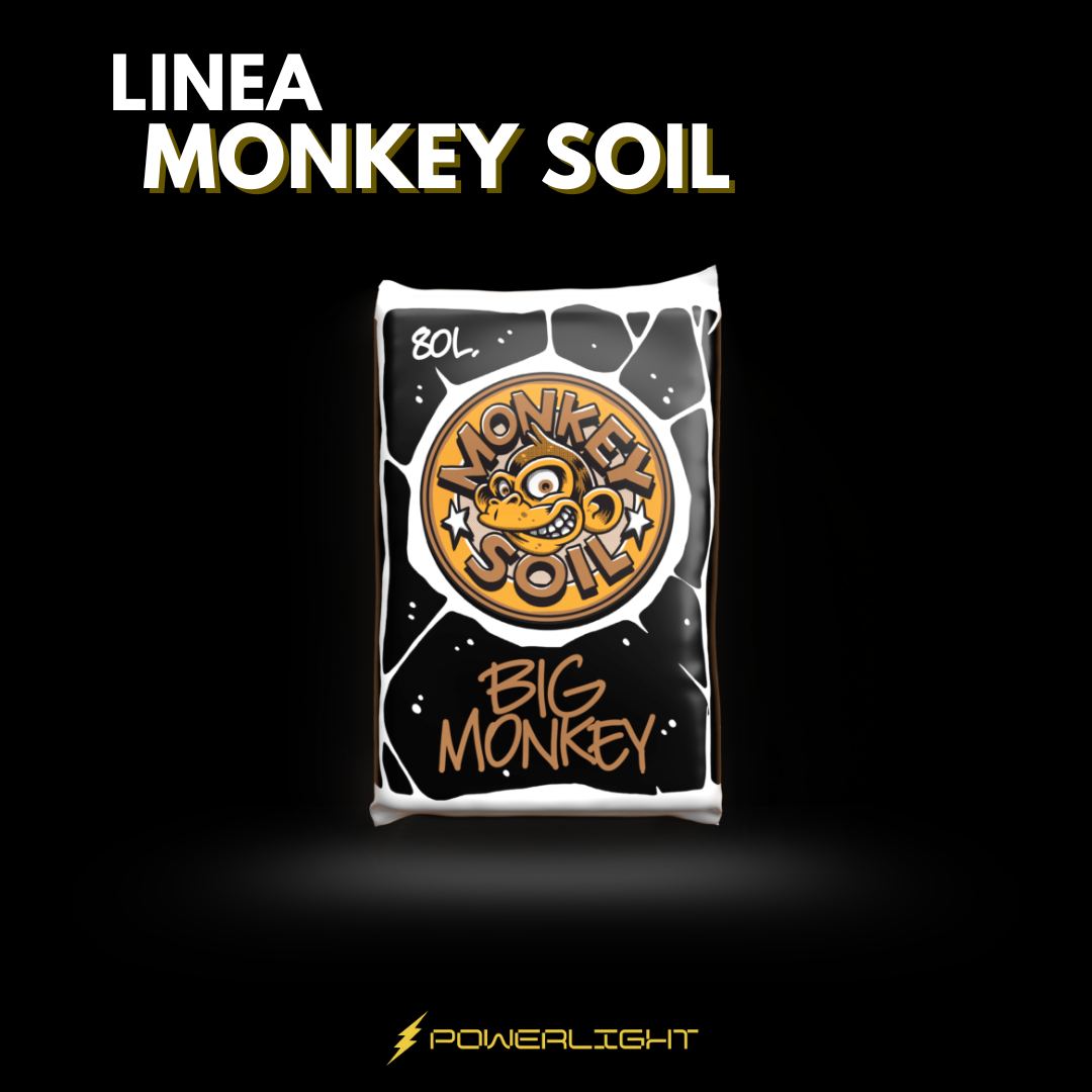 MONKEY SOIL - BIG  MONKEY