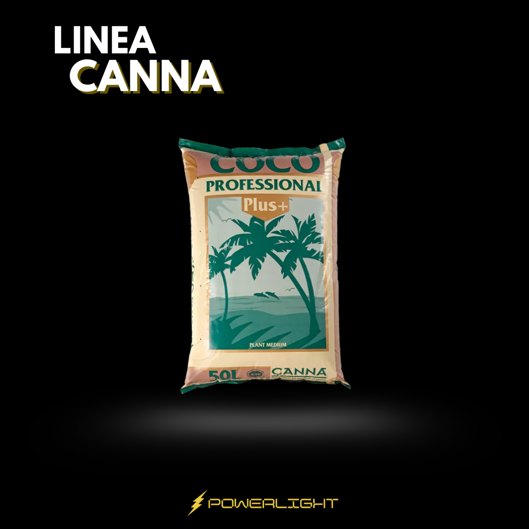 CANNA (por encargue) - COCO PROFESSIONAL