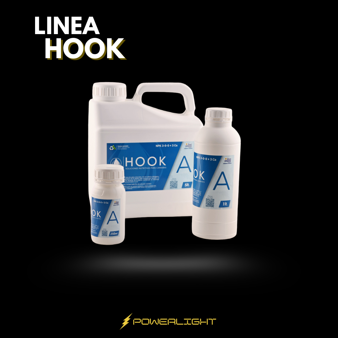 HOOK - CONCENTRADO A