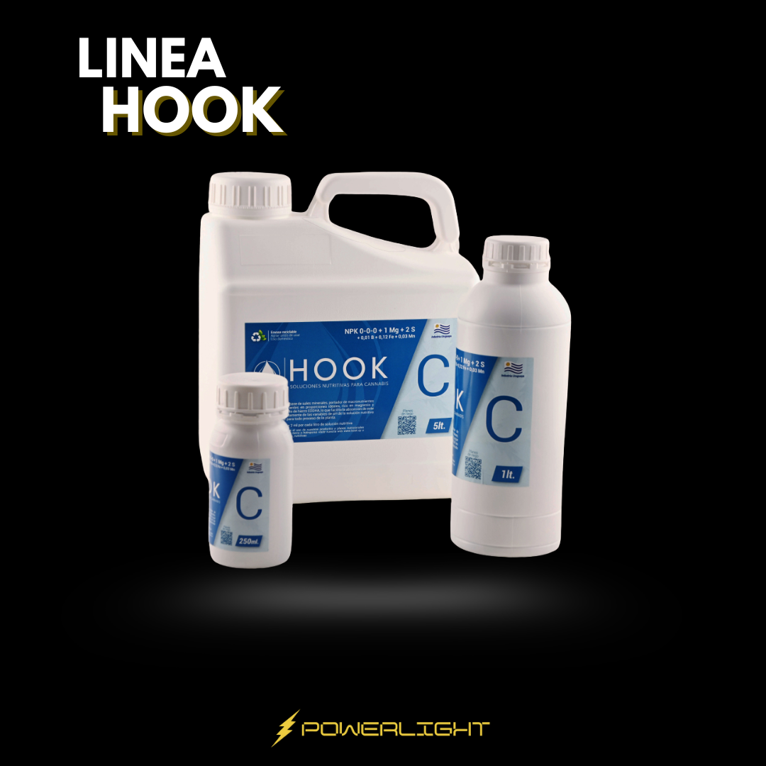 HOOK - CONCENTRADO C
