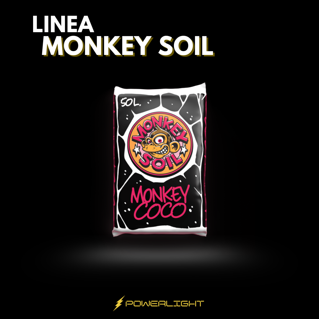 MONKEY SOIL - MONKEY COCO