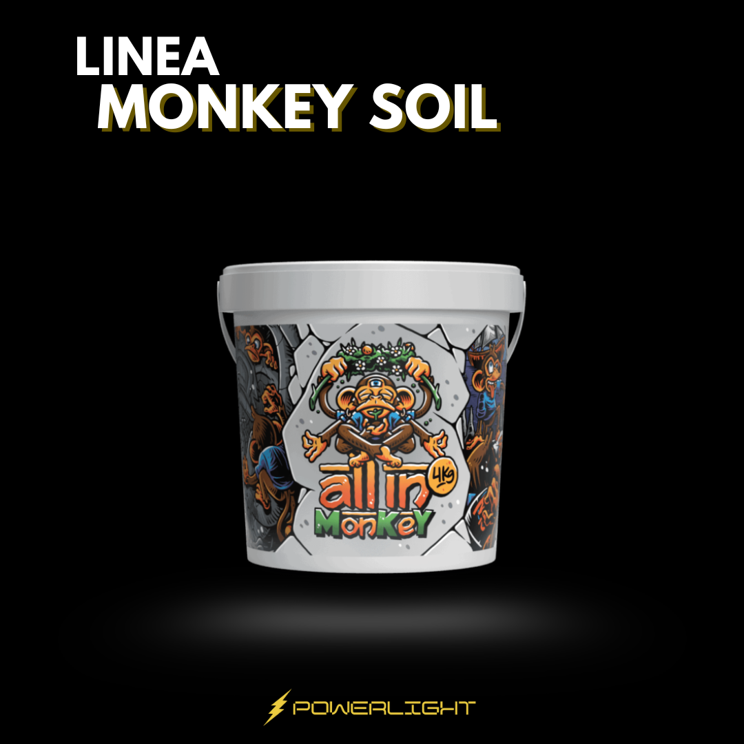 MONLEY SOIL - ALL  IN
