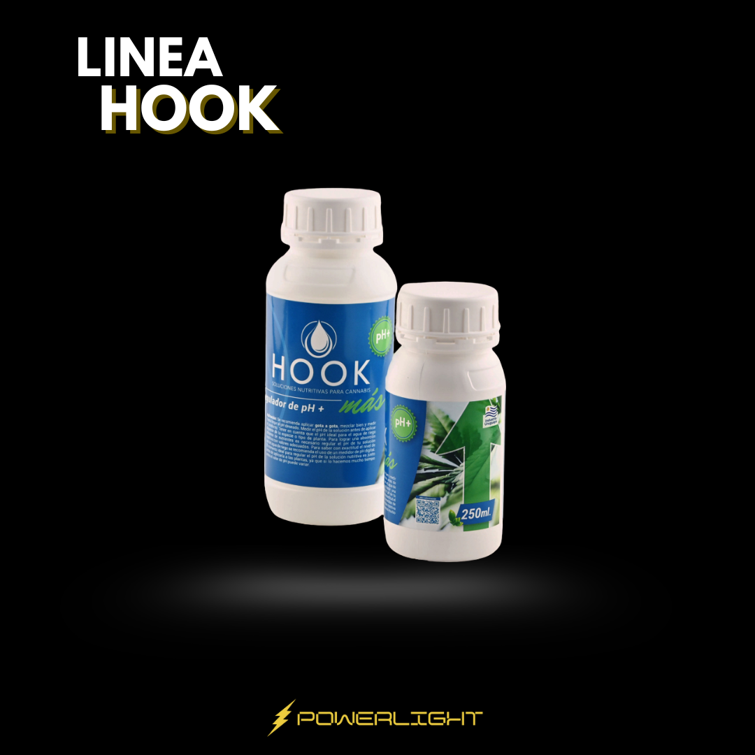 HOOK - PH MÁS