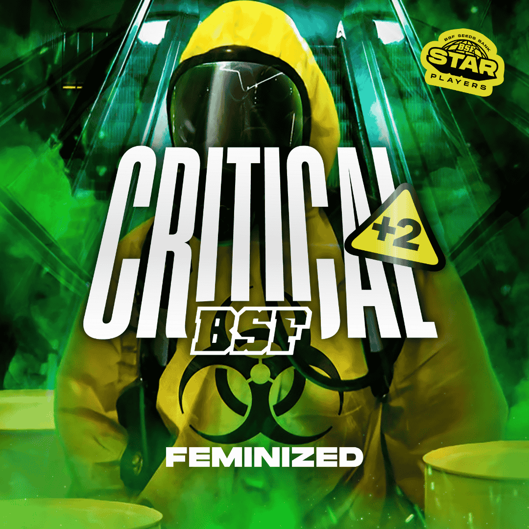 CRITICAL +2 feminizada BSF