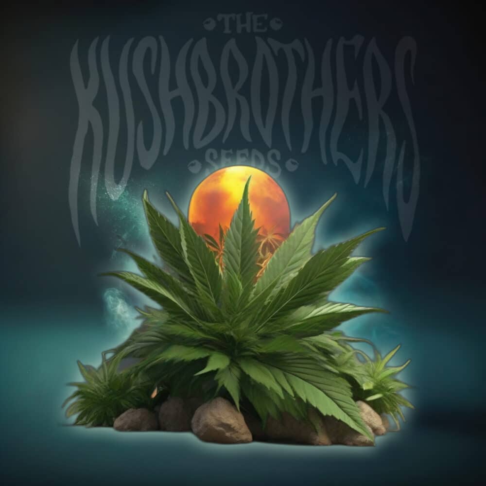 EXOTIC KUSH Feminizadas