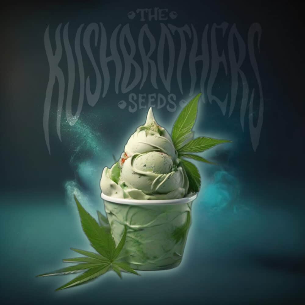 GELATO ROYAL Feminizadas