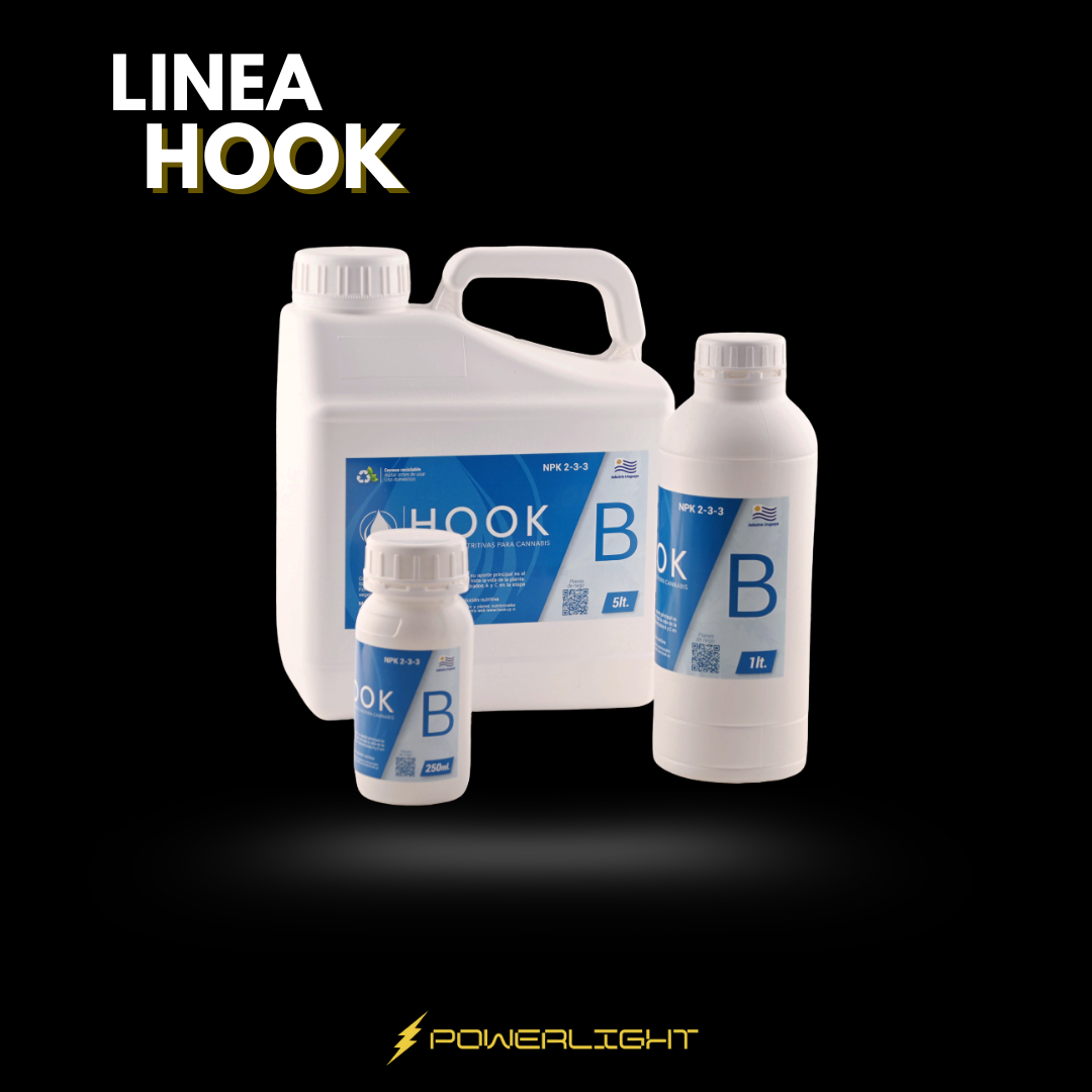 HOOK - CONCENTRADO B