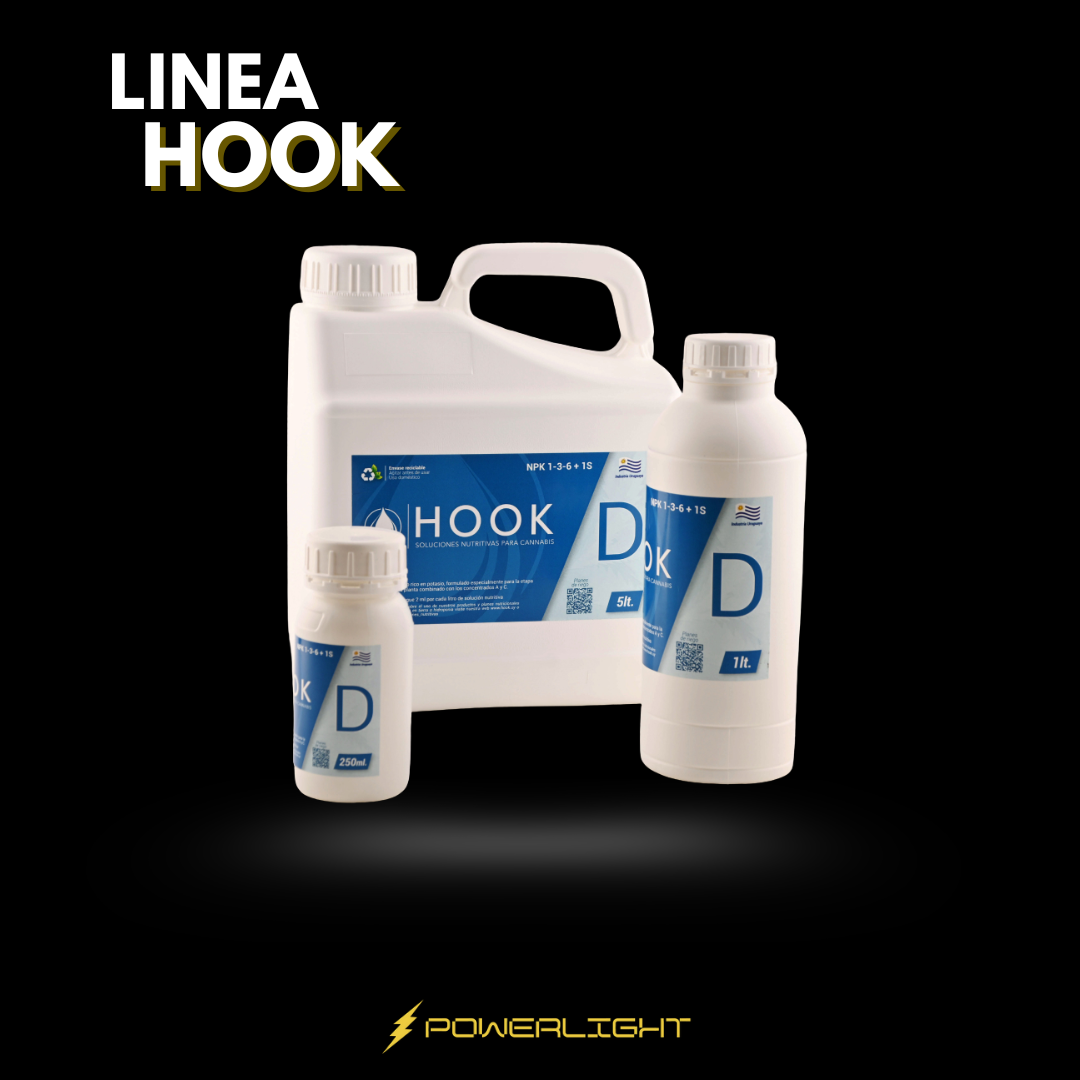HOOK - CONCENTRADO D