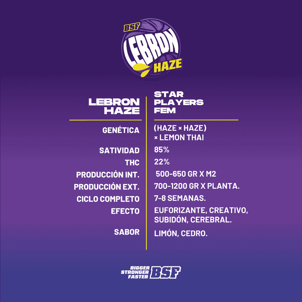 LEBRON HAZE feminizada BSF