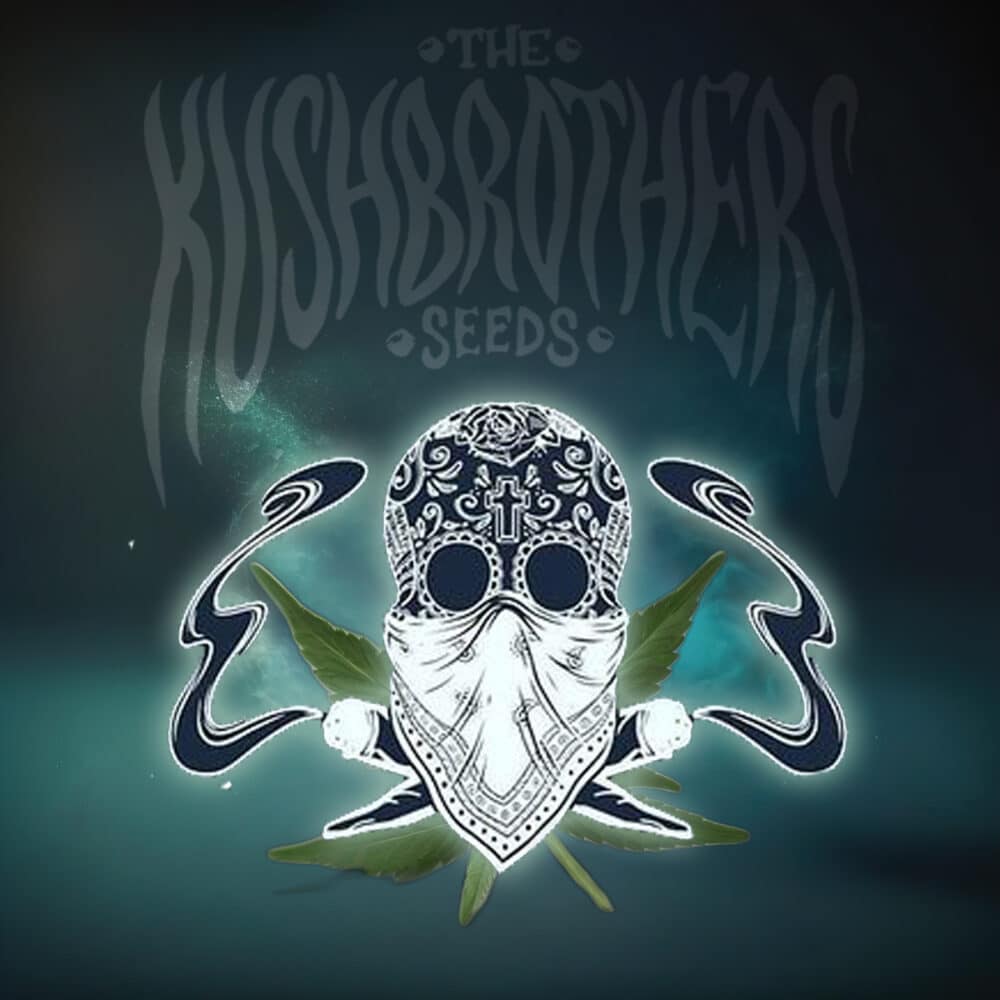 PANDEMIA KUSH Feminizadas