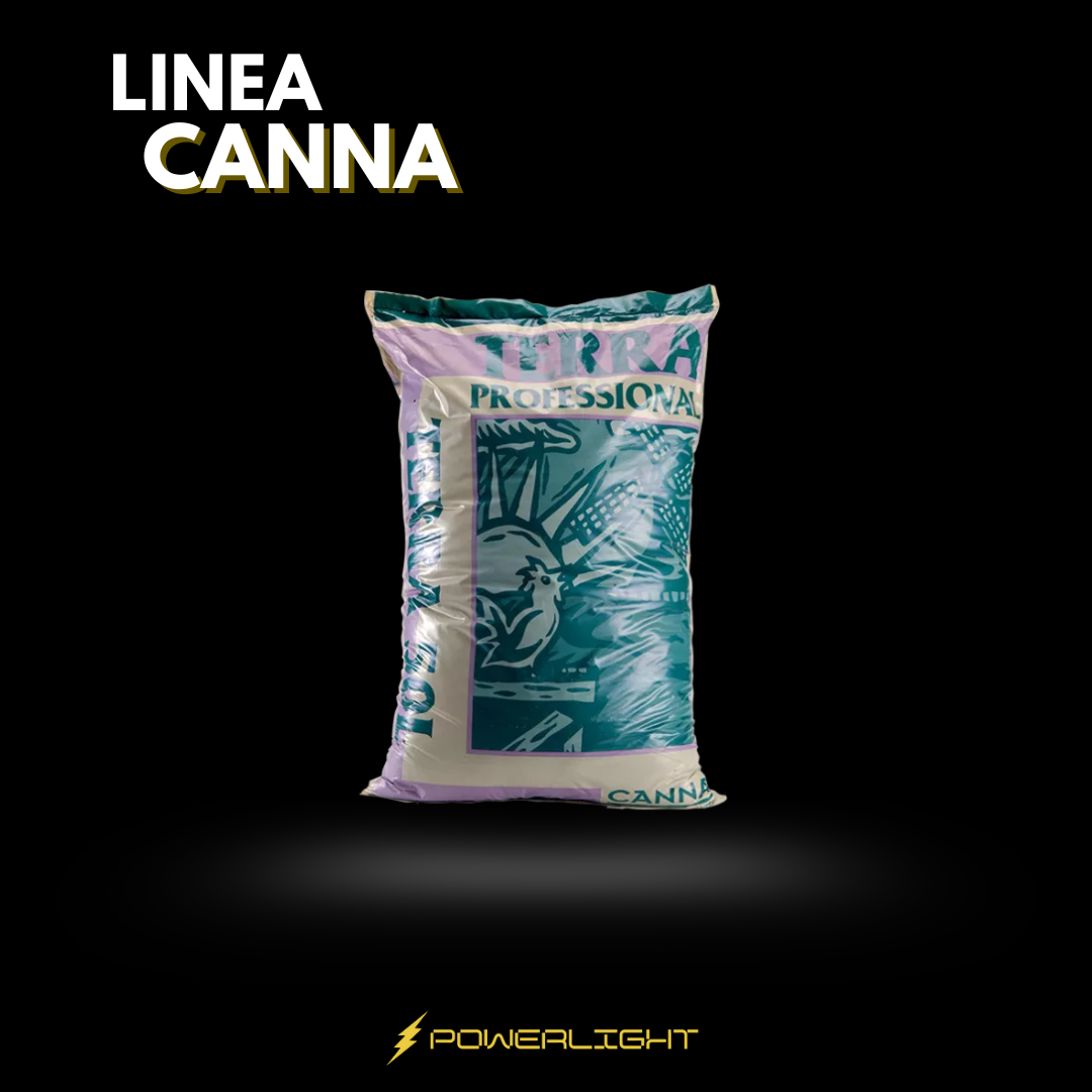 CANNA (por encargue) - TERRA PROFESSIONAL