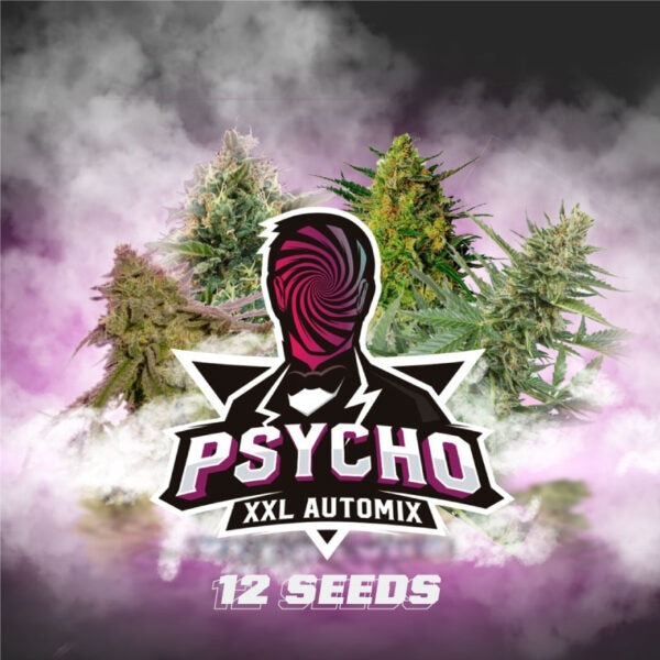 PSYCHO XXL Auto