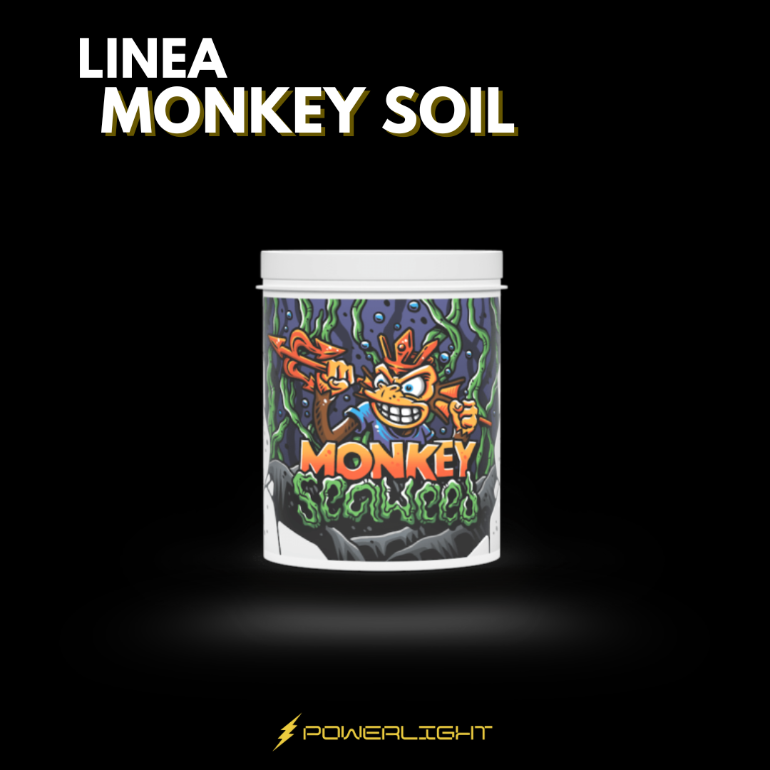 MONKEY SOIL - MONKEY SEAWEED