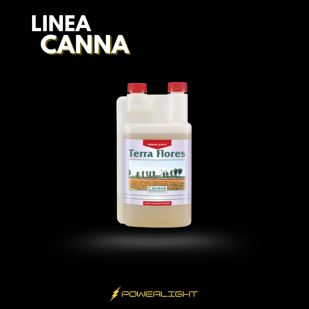 CANNA - TERRA FLORES